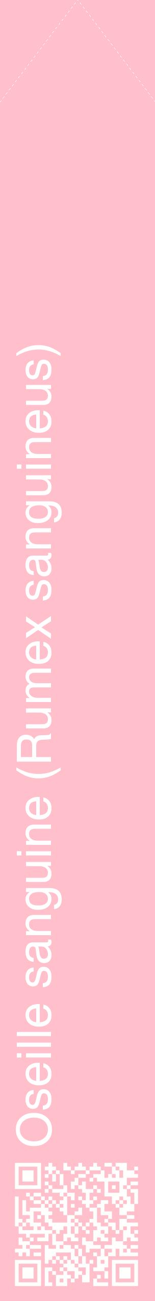 Étiquette de : Rumex sanguineus - format c - style blanche40_simplehel avec qrcode et comestibilité