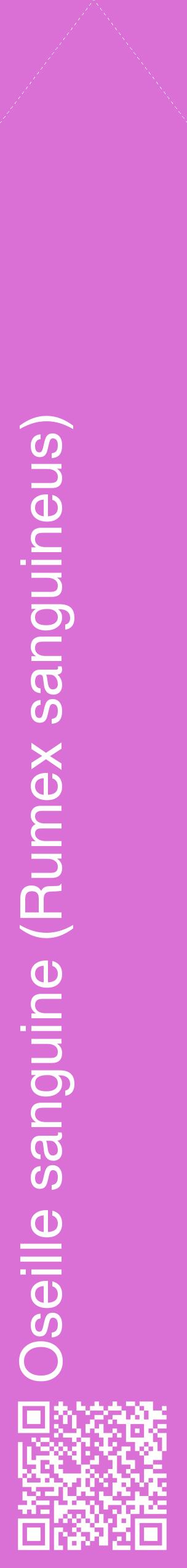 Étiquette de : Rumex sanguineus - format c - style blanche52_simplehel avec qrcode et comestibilité