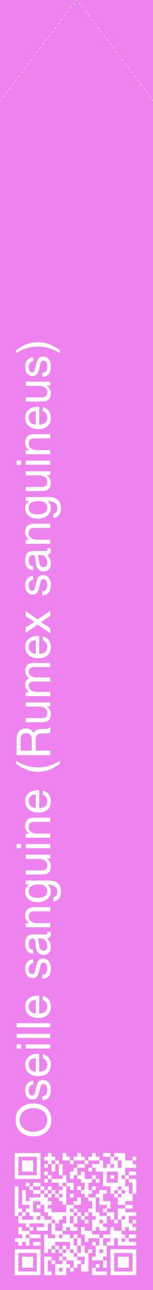 Étiquette de : Rumex sanguineus - format c - style blanche53_simplehel avec qrcode et comestibilité