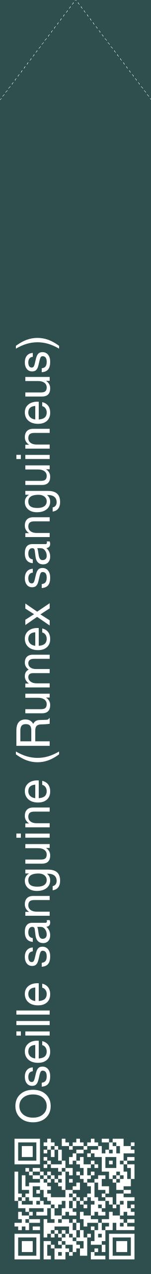 Étiquette de : Rumex sanguineus - format c - style blanche58_simplehel avec qrcode et comestibilité
