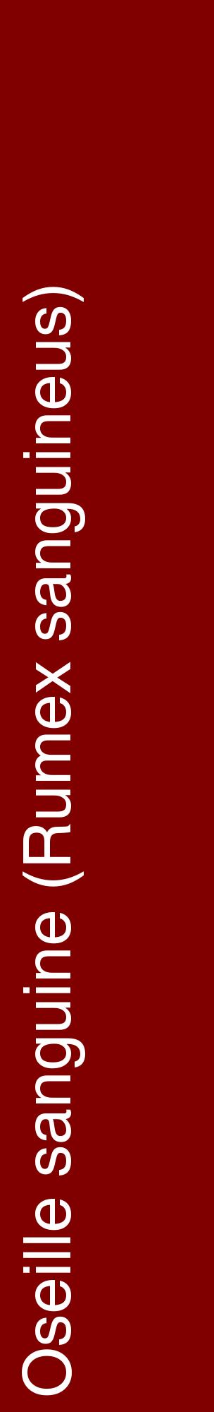Étiquette de : Rumex sanguineus - format c - style blanche29_basiquehel avec comestibilité