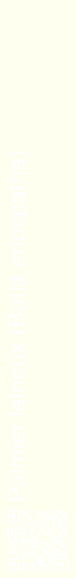 Étiquette de : Butia eriospatha - format c - style blanche19_basiquehel avec qrcode et comestibilité