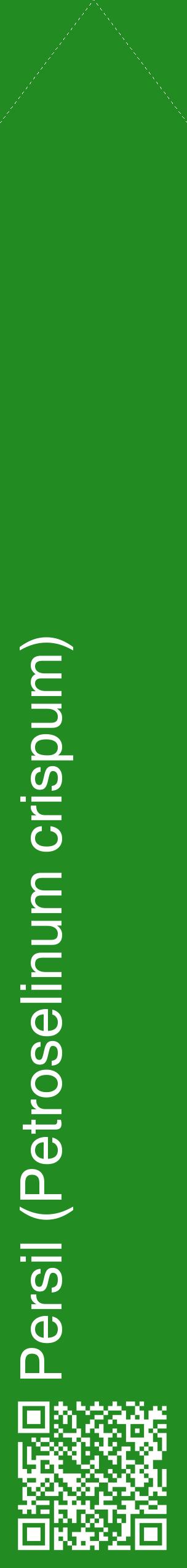 Étiquette de : Petroselinum crispum - format c - style blanche10_simplehel avec qrcode et comestibilité