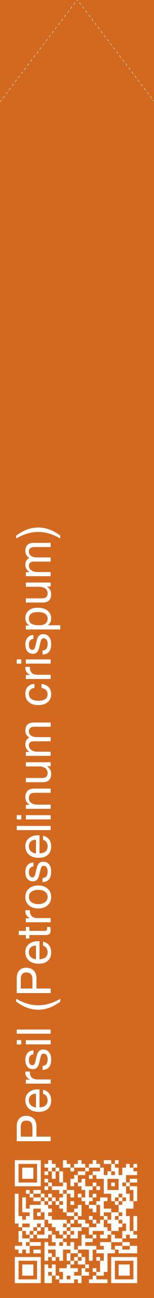 Étiquette de : Petroselinum crispum - format c - style blanche31_simplehel avec qrcode et comestibilité