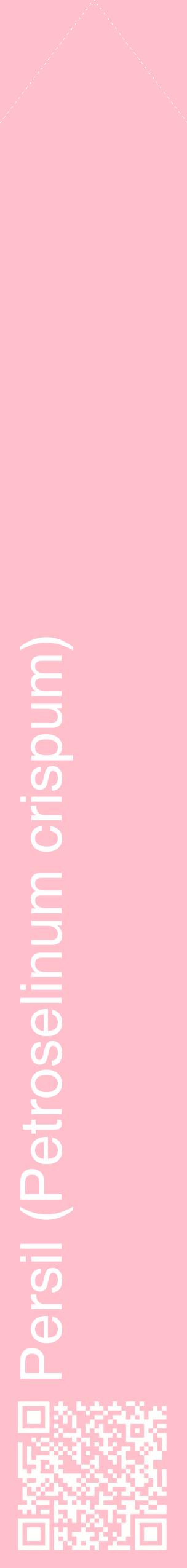 Étiquette de : Petroselinum crispum - format c - style blanche40_simplehel avec qrcode et comestibilité