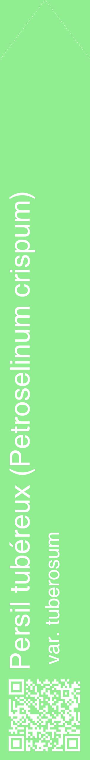 Étiquette de : Petroselinum crispum var. tuberosum - format c - style blanche15_simplehel avec qrcode et comestibilité