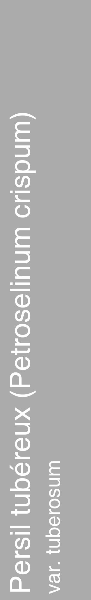 Étiquette de : Petroselinum crispum var. tuberosum - format c - style blanche37_basique_basiquehel avec comestibilité - position verticale