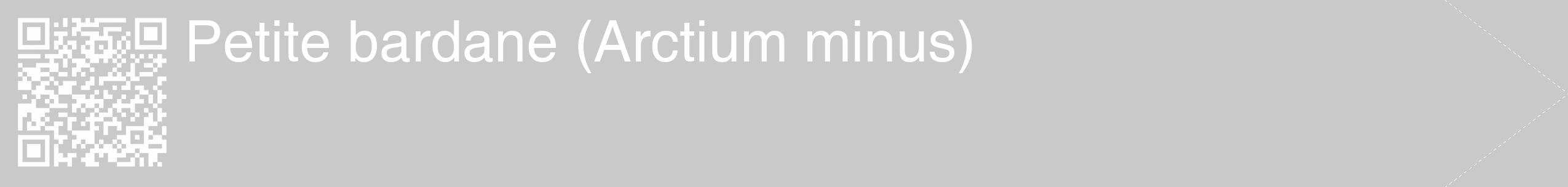 Étiquette de : Arctium minus - format c - style blanche54_simple_simplehel avec qrcode et comestibilité