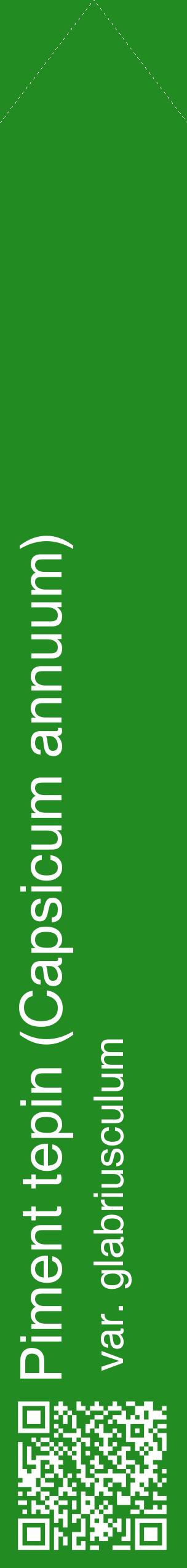 Étiquette de : Capsicum annuum var. glabriusculum - format c - style blanche10_simplehel avec qrcode et comestibilité