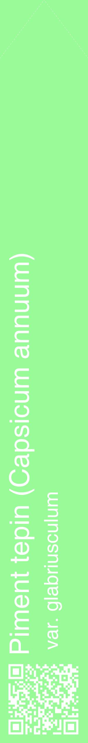 Étiquette de : Capsicum annuum var. glabriusculum - format c - style blanche14_simplehel avec qrcode et comestibilité
