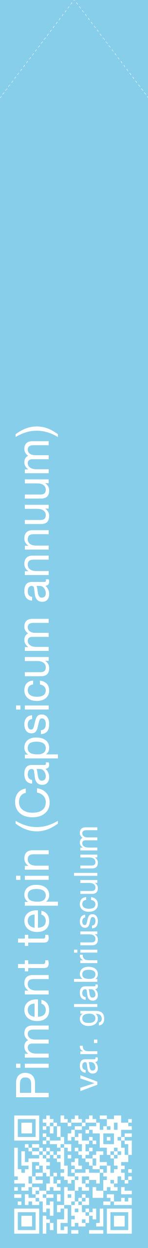 Étiquette de : Capsicum annuum var. glabriusculum - format c - style blanche1_simplehel avec qrcode et comestibilité