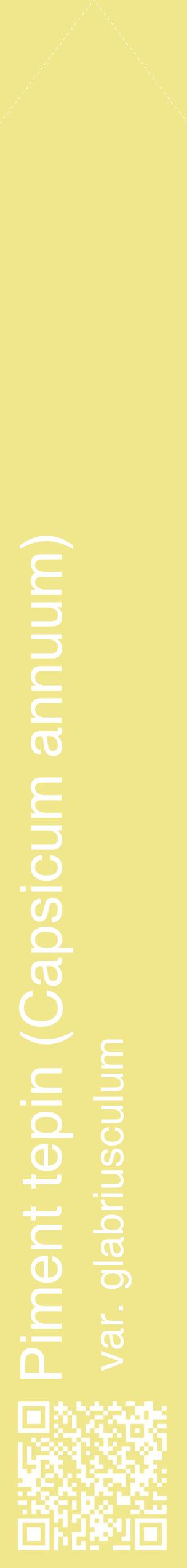 Étiquette de : Capsicum annuum var. glabriusculum - format c - style blanche20_simplehel avec qrcode et comestibilité
