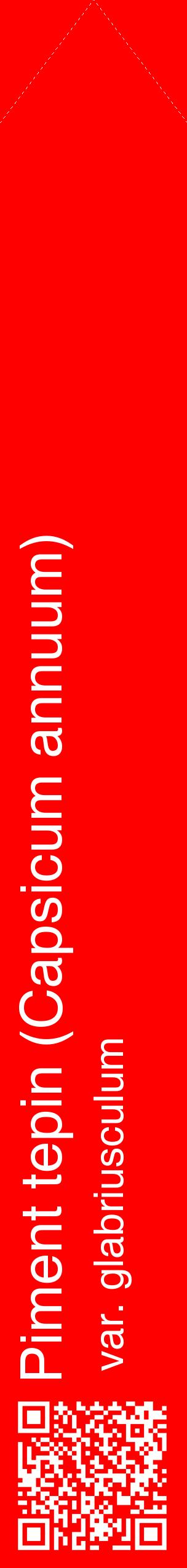 Étiquette de : Capsicum annuum var. glabriusculum - format c - style blanche27_simplehel avec qrcode et comestibilité
