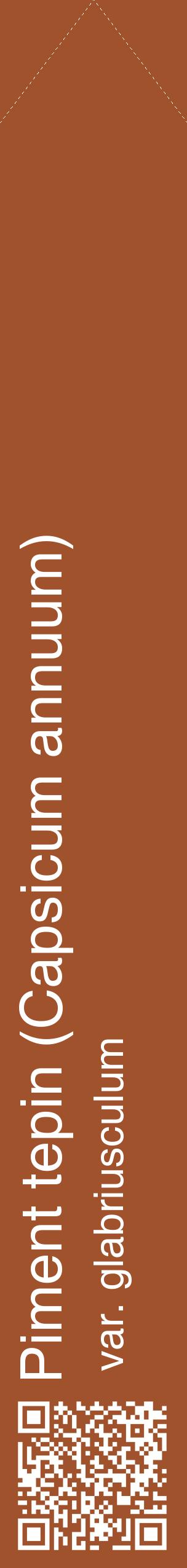 Étiquette de : Capsicum annuum var. glabriusculum - format c - style blanche32_simplehel avec qrcode et comestibilité