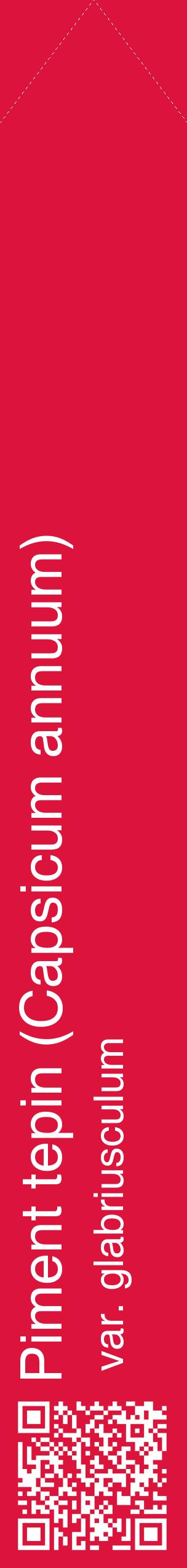 Étiquette de : Capsicum annuum var. glabriusculum - format c - style blanche36_simplehel avec qrcode et comestibilité