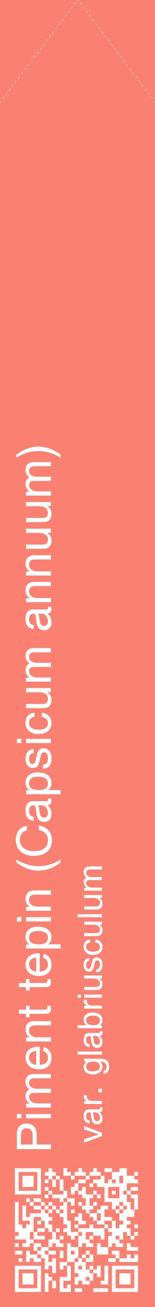 Étiquette de : Capsicum annuum var. glabriusculum - format c - style blanche38_simplehel avec qrcode et comestibilité