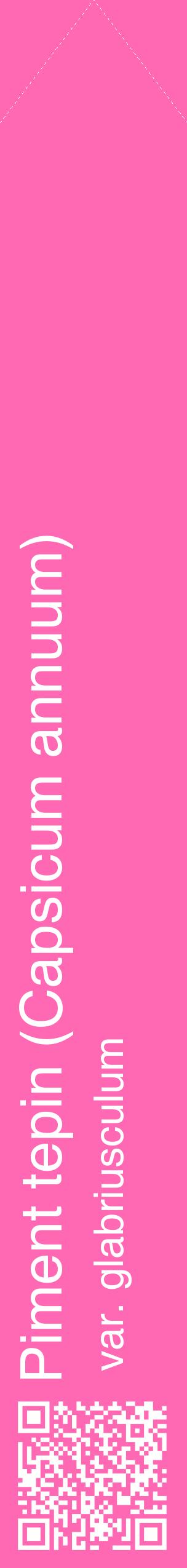 Étiquette de : Capsicum annuum var. glabriusculum - format c - style blanche42_simplehel avec qrcode et comestibilité