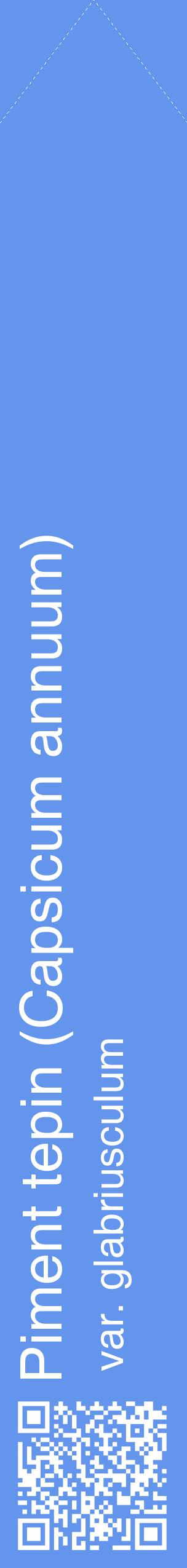 Étiquette de : Capsicum annuum var. glabriusculum - format c - style blanche4_simplehel avec qrcode et comestibilité