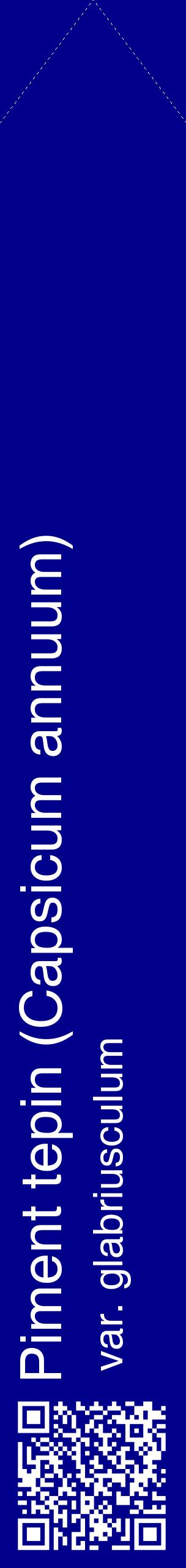 Étiquette de : Capsicum annuum var. glabriusculum - format c - style blanche7_simplehel avec qrcode et comestibilité