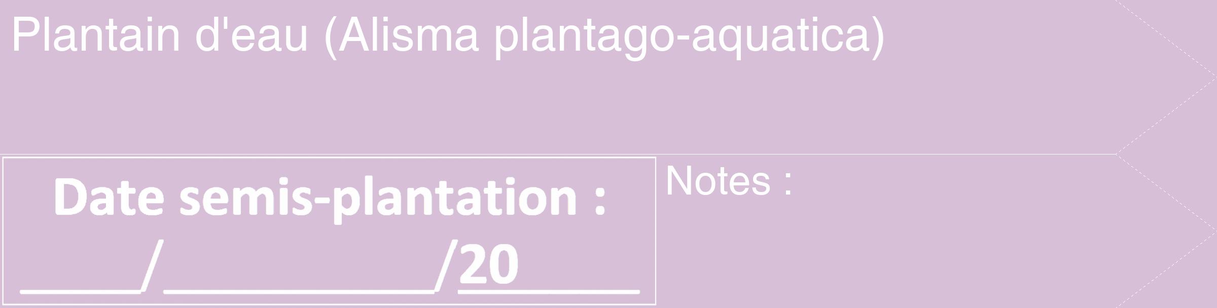 Étiquette de : Alisma plantago-aquatica - format c - style blanche54_simple_simplehel avec comestibilité