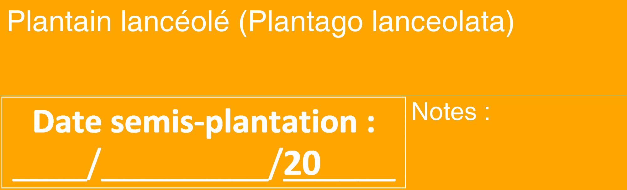 Étiquette de : Plantago lanceolata - format c - style blanche22_basique_basiquehel avec comestibilité