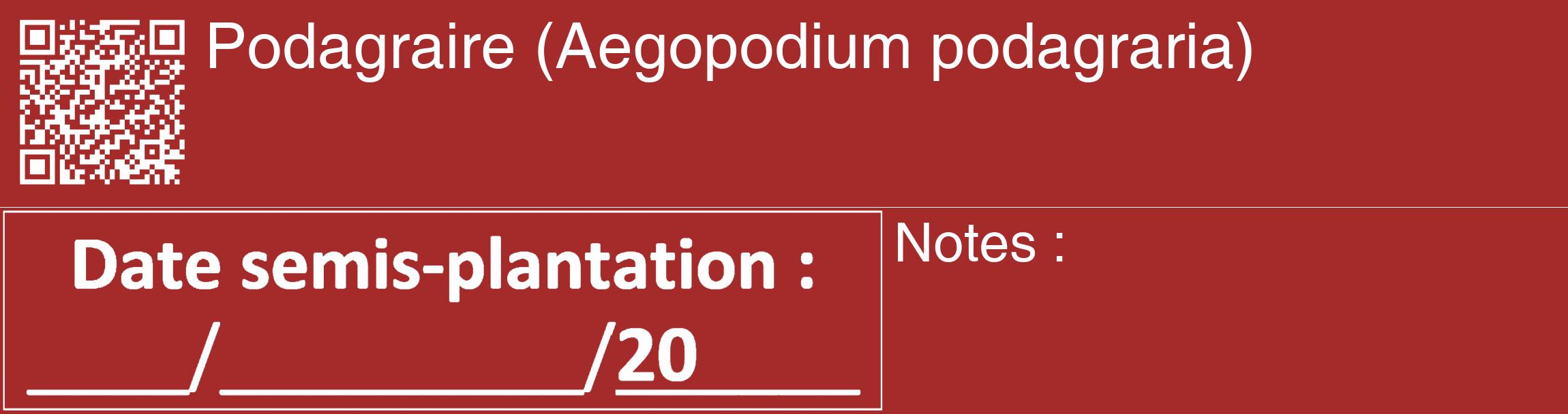 Étiquette de : Aegopodium podagraria - format c - style blanche33_basique_basiquehel avec qrcode et comestibilité