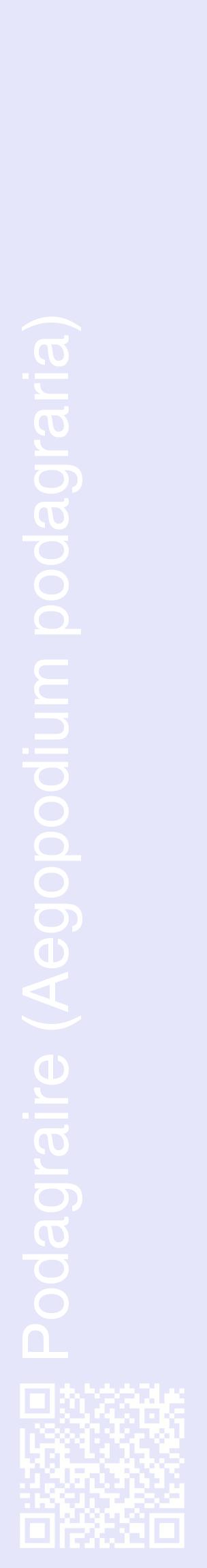 Étiquette de : Aegopodium podagraria - format c - style blanche55_basiquehel avec qrcode et comestibilité
