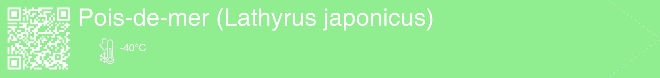 Étiquette de : Lathyrus japonicus - format c - style blanche15_simple_simplehel avec qrcode et comestibilité