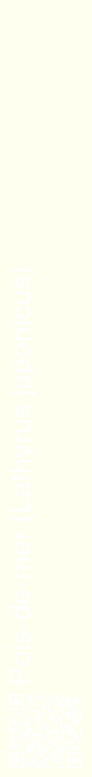 Étiquette de : Lathyrus japonicus - format c - style blanche19_simplehel avec qrcode et comestibilité