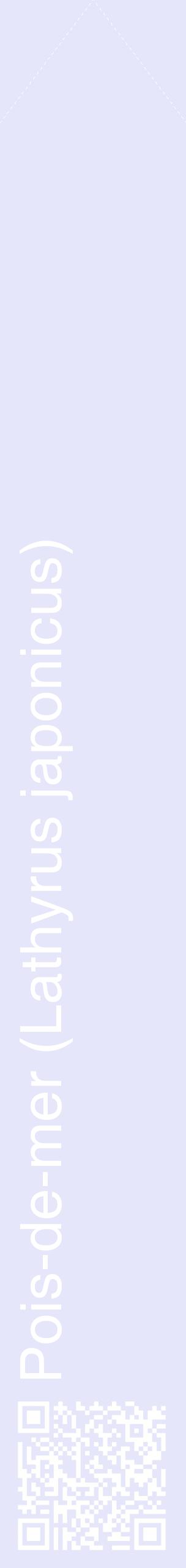 Étiquette de : Lathyrus japonicus - format c - style blanche55_simplehel avec qrcode et comestibilité