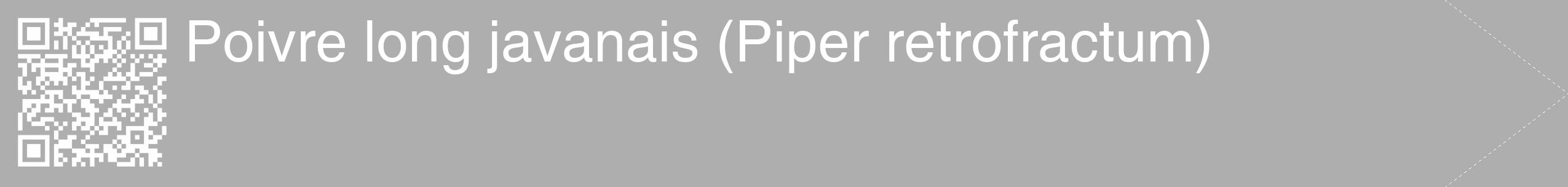 Étiquette de : Piper retrofractum - format c - style blanche53_simple_simplehel avec qrcode et comestibilité
