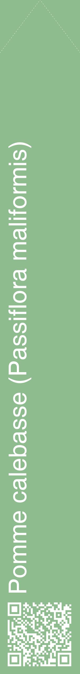 Étiquette de : Passiflora maliformis - format c - style blanche13_simplehel avec qrcode et comestibilité