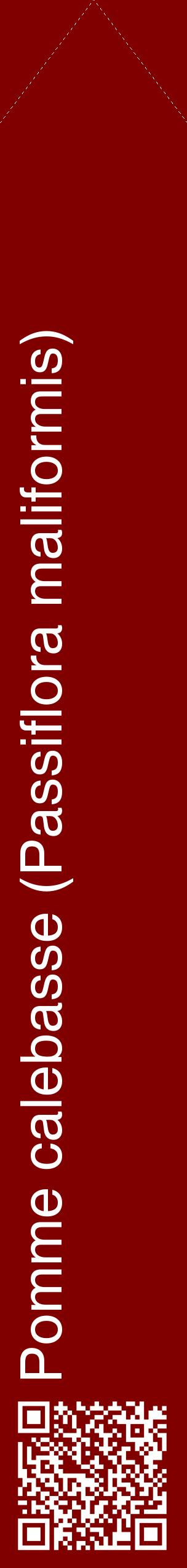 Étiquette de : Passiflora maliformis - format c - style blanche29_simplehel avec qrcode et comestibilité