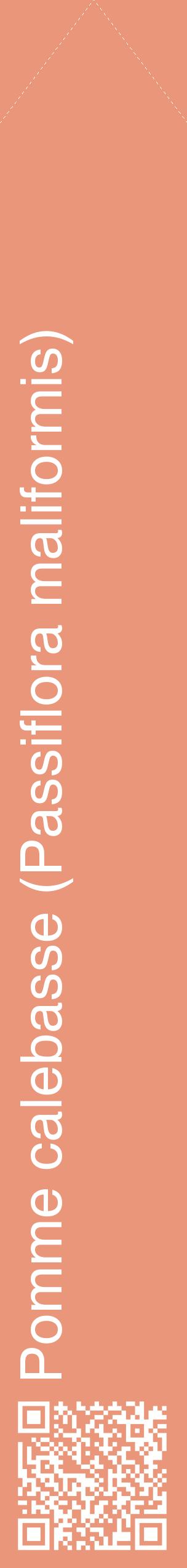 Étiquette de : Passiflora maliformis - format c - style blanche37_simplehel avec qrcode et comestibilité