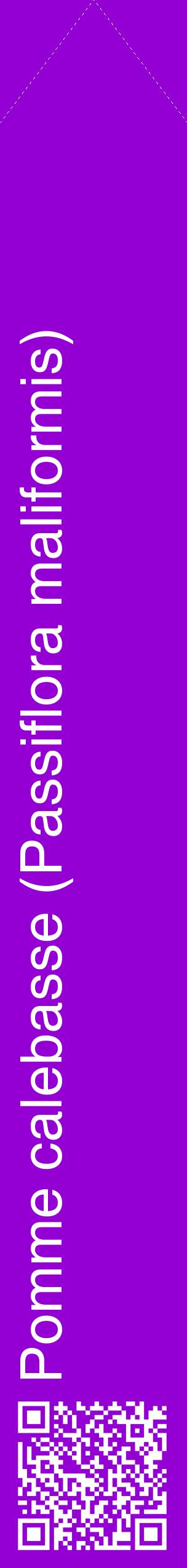 Étiquette de : Passiflora maliformis - format c - style blanche48_simplehel avec qrcode et comestibilité