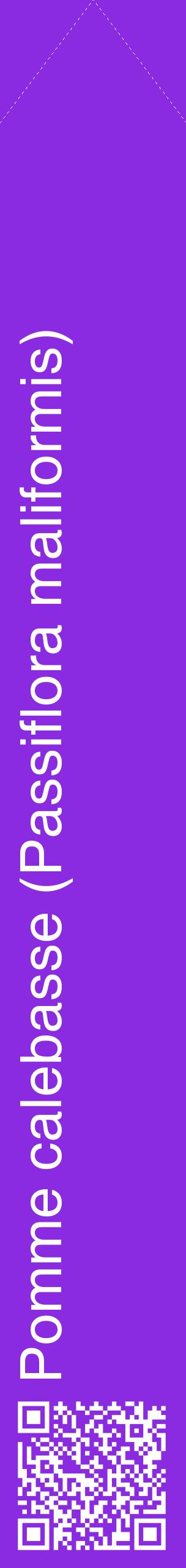 Étiquette de : Passiflora maliformis - format c - style blanche49_simplehel avec qrcode et comestibilité