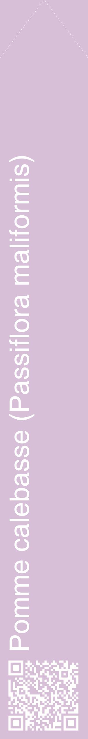 Étiquette de : Passiflora maliformis - format c - style blanche54_simplehel avec qrcode et comestibilité