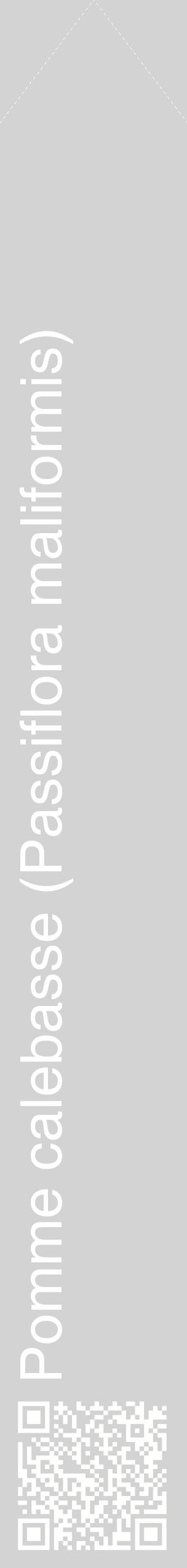 Étiquette de : Passiflora maliformis - format c - style blanche56_simplehel avec qrcode et comestibilité