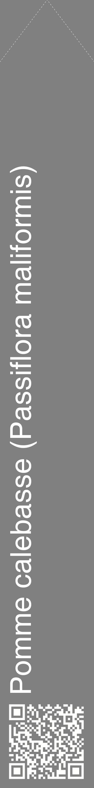 Étiquette de : Passiflora maliformis - format c - style blanche57_simplehel avec qrcode et comestibilité