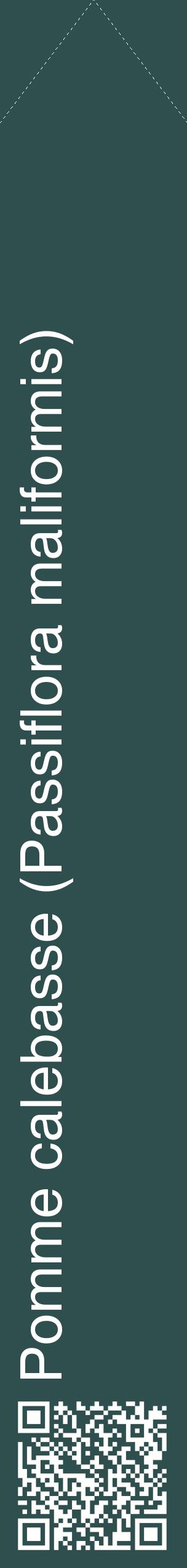 Étiquette de : Passiflora maliformis - format c - style blanche58_simplehel avec qrcode et comestibilité