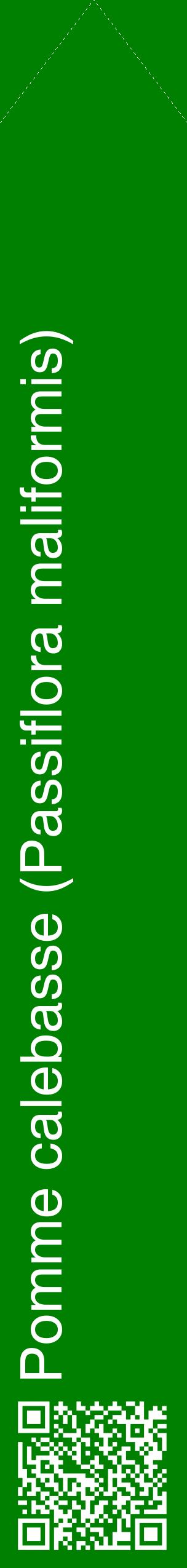 Étiquette de : Passiflora maliformis - format c - style blanche9_simplehel avec qrcode et comestibilité