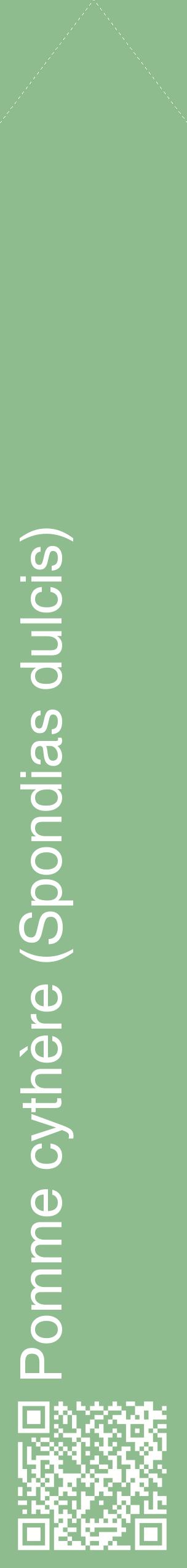 Étiquette de : Spondias dulcis - format c - style blanche13_simplehel avec qrcode et comestibilité
