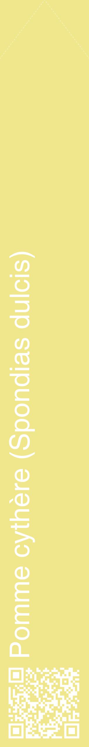 Étiquette de : Spondias dulcis - format c - style blanche20_simplehel avec qrcode et comestibilité