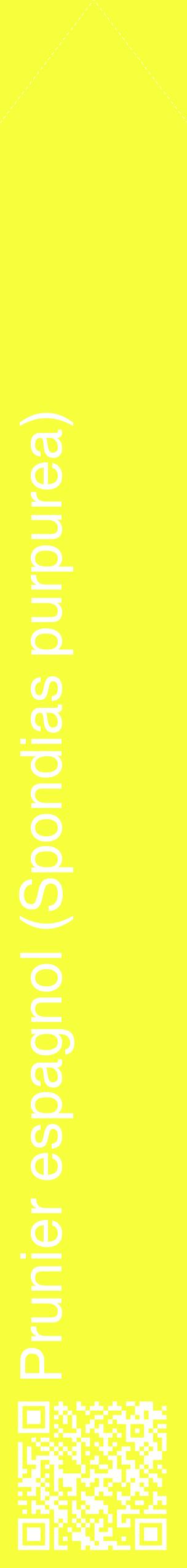 Étiquette de : Spondias purpurea - format c - style blanche18_simplehel avec qrcode et comestibilité