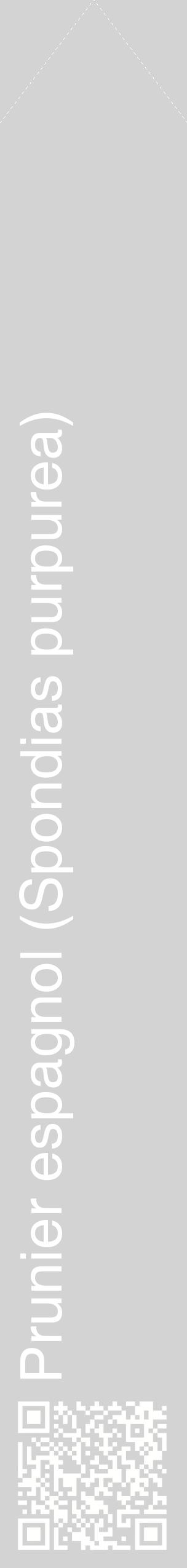 Étiquette de : Spondias purpurea - format c - style blanche56_simplehel avec qrcode et comestibilité