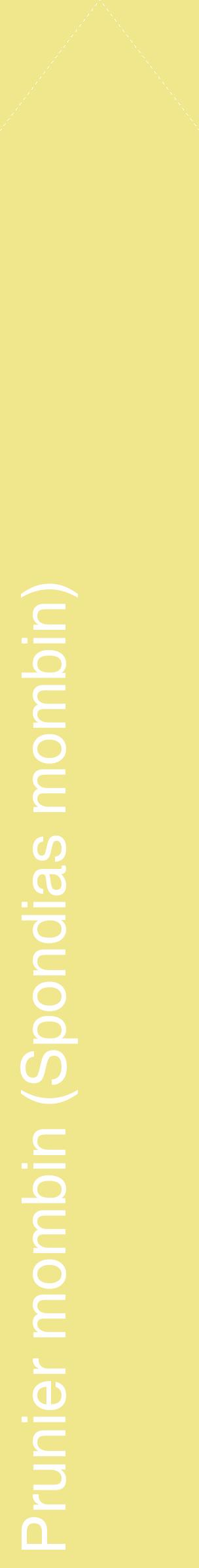 Étiquette de : Spondias mombin - format c - style blanche20_simplehel avec comestibilité