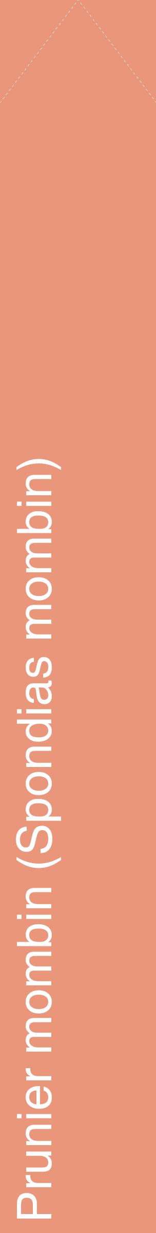 Étiquette de : Spondias mombin - format c - style blanche37_simplehel avec comestibilité
