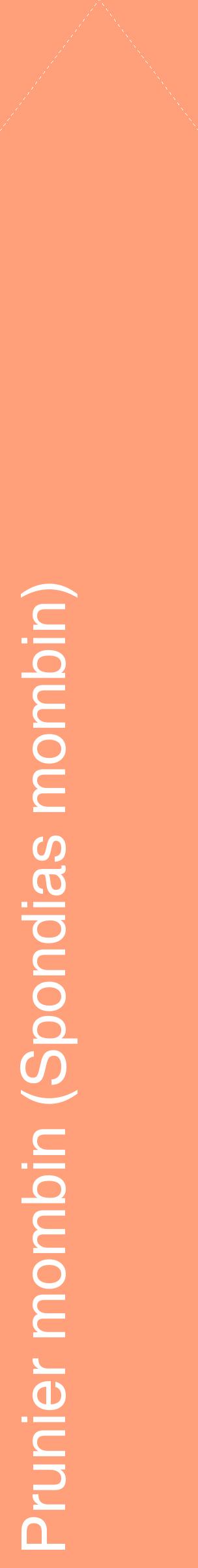 Étiquette de : Spondias mombin - format c - style blanche39_simplehel avec comestibilité