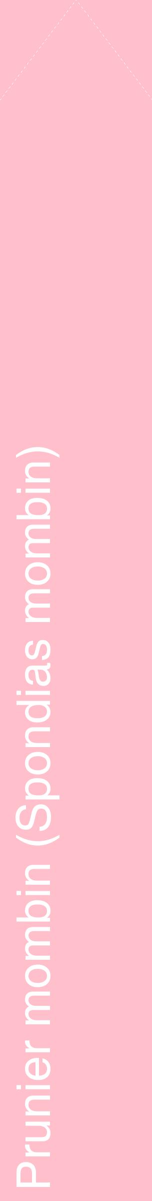Étiquette de : Spondias mombin - format c - style blanche40_simplehel avec comestibilité