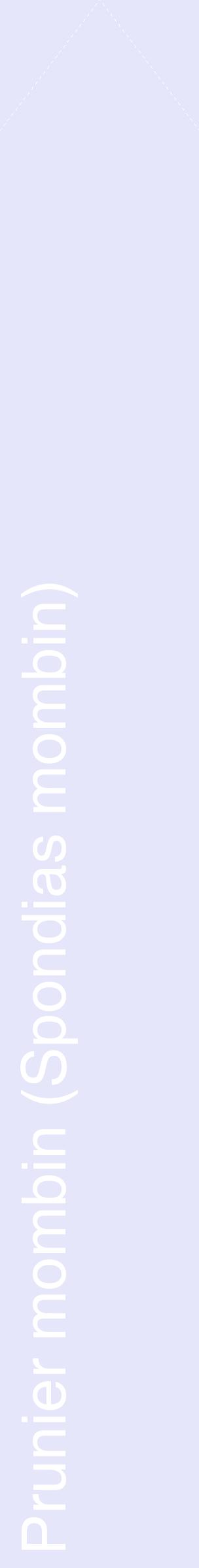 Étiquette de : Spondias mombin - format c - style blanche55_simplehel avec comestibilité